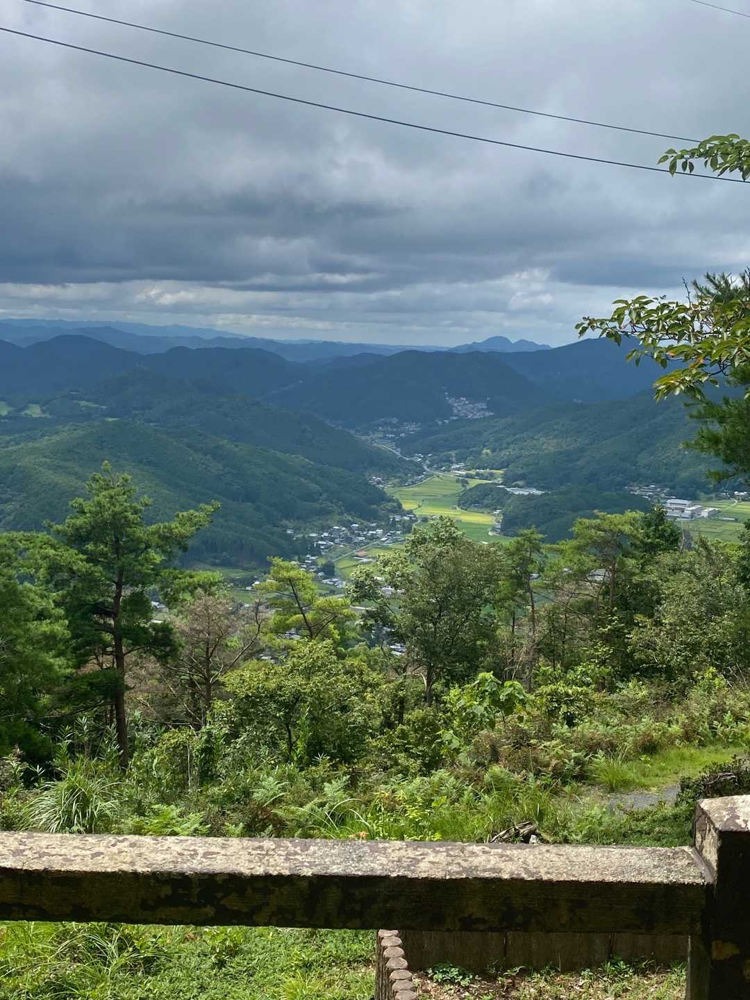 素朴な景色✨