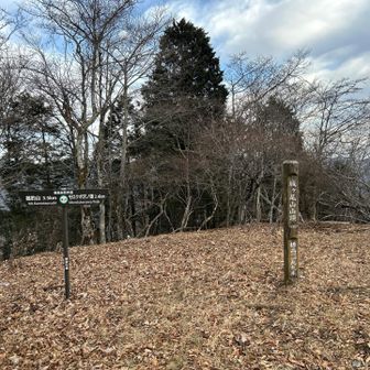 城ヶ尾山山頂　開けてますが眺望ないし、朝からの強風で休憩する気になれない…