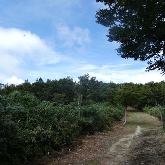 徐々に青空が広がってきました
予報とは真反対ですね..