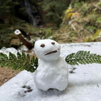 仕方ないビール飲んで明日から頑張るか💪