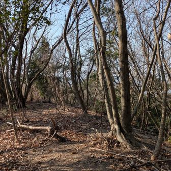 ここ、展望スポットになっていますが、展望はほぼありません💦