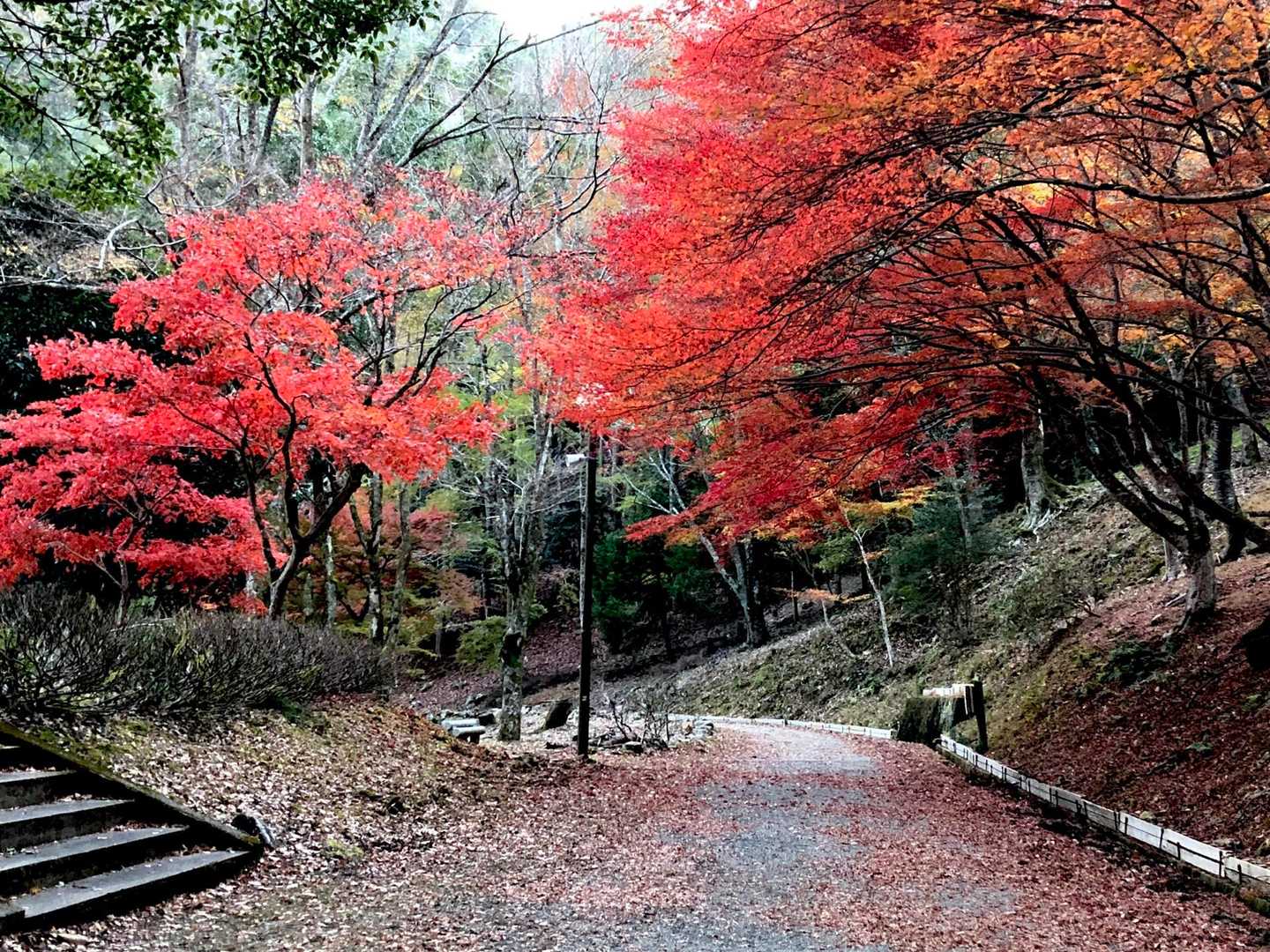 宇連山-瀬戸岩-棚山 周回コースの写真