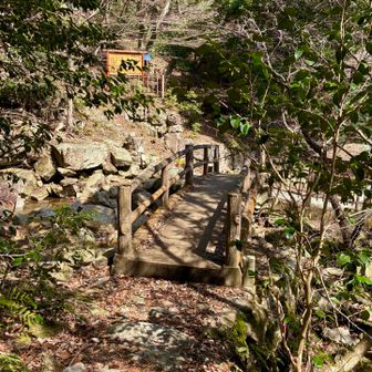 この橋を渡り、