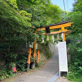 おじゃしまーす♪