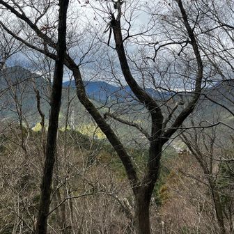 髭山、矢頭山方面が見えてるようです