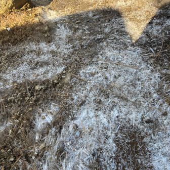 上の方に来ると、霜柱

仙台に『霜ばしら』というお菓子が存在します
住んでる頃は、このよさ全くわからなかった。

今、その美味しさ尊さがよくわかります☺️

オトナの階段のぼるのも悪くないですね〜