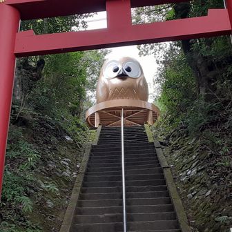 とらちゃん