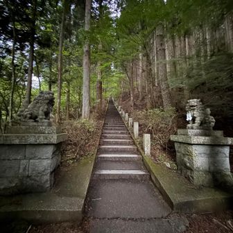 まずは400段の石段登りから✊