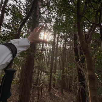 『おっ』想定外の太陽が嬉しい☺️
すかさず掴めま〜〜〜した☀️🖐️