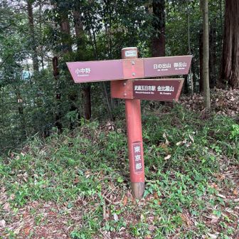 小中野への分岐