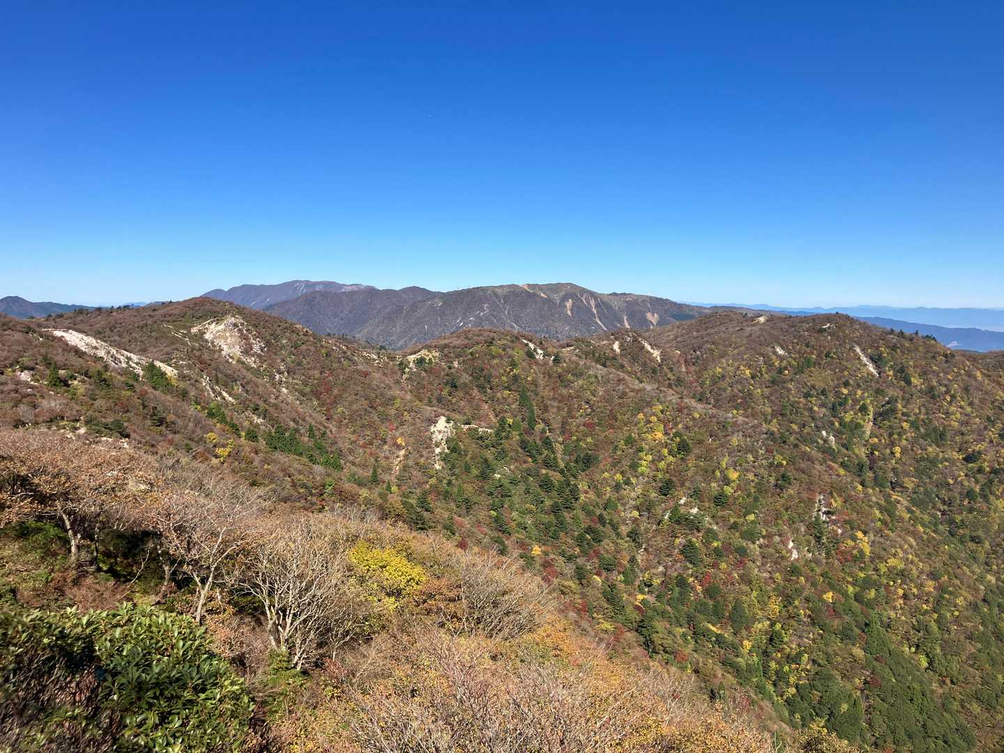 これから向かう稜線の後ろに竜ヶ岳、御池岳