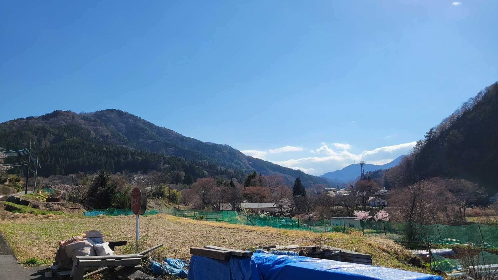 里山～🎶
