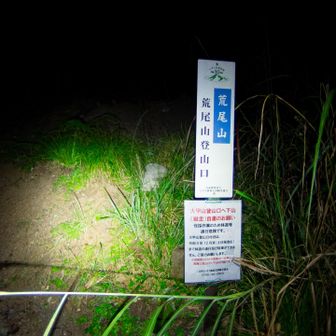 公園から歩くこと数分で登山口に到着。