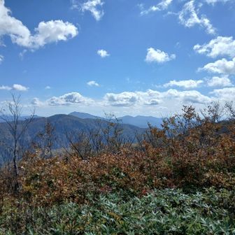 山頂からの見晴らし