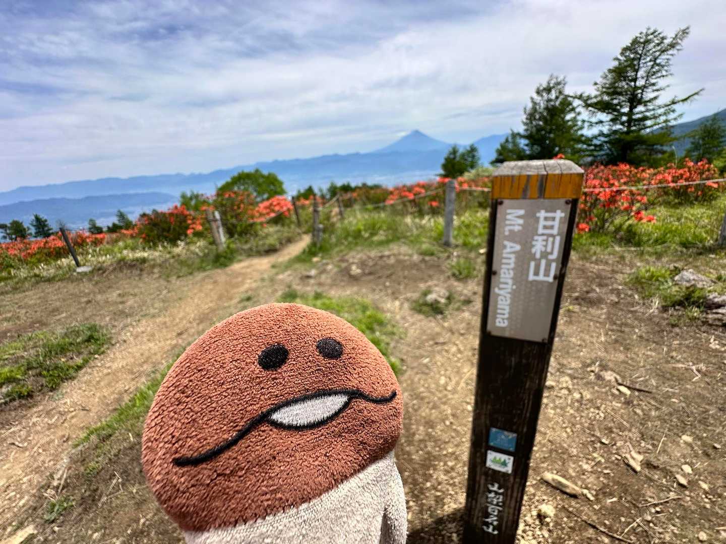 2026.5.31 甘利山 (甲信越百85・山梨百39)・千頭星山 (山梨百40) / 山バカなめこ殿様 ( ˊ̱˂˃ˋ̱ )の登山データ ...