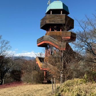 展望台の最上階からは