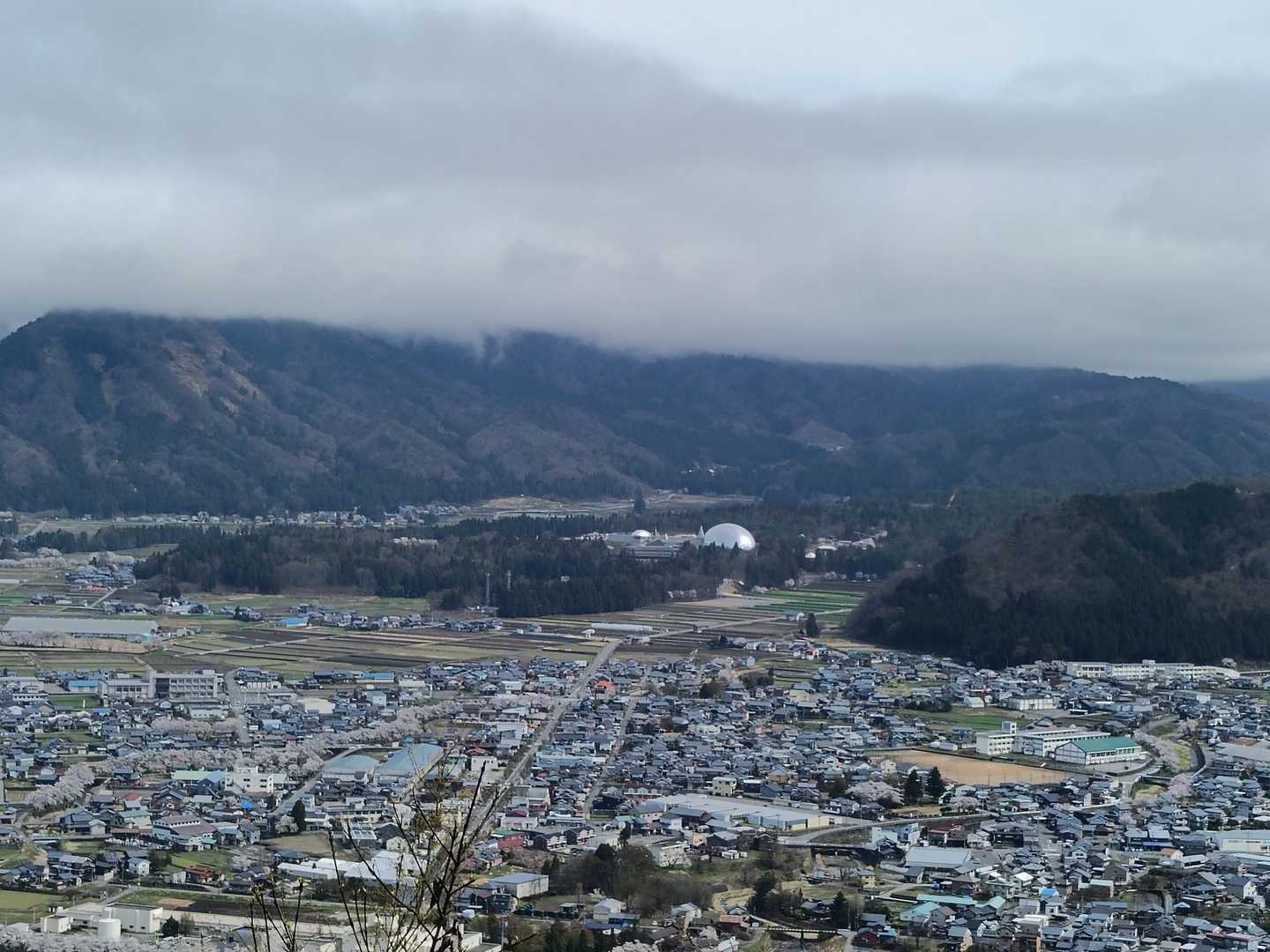 恐竜博物館も見えます