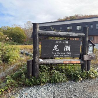 人生初の尾瀬！楽しみィィイ