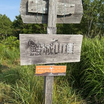 山頂の標識ありました^ ^
