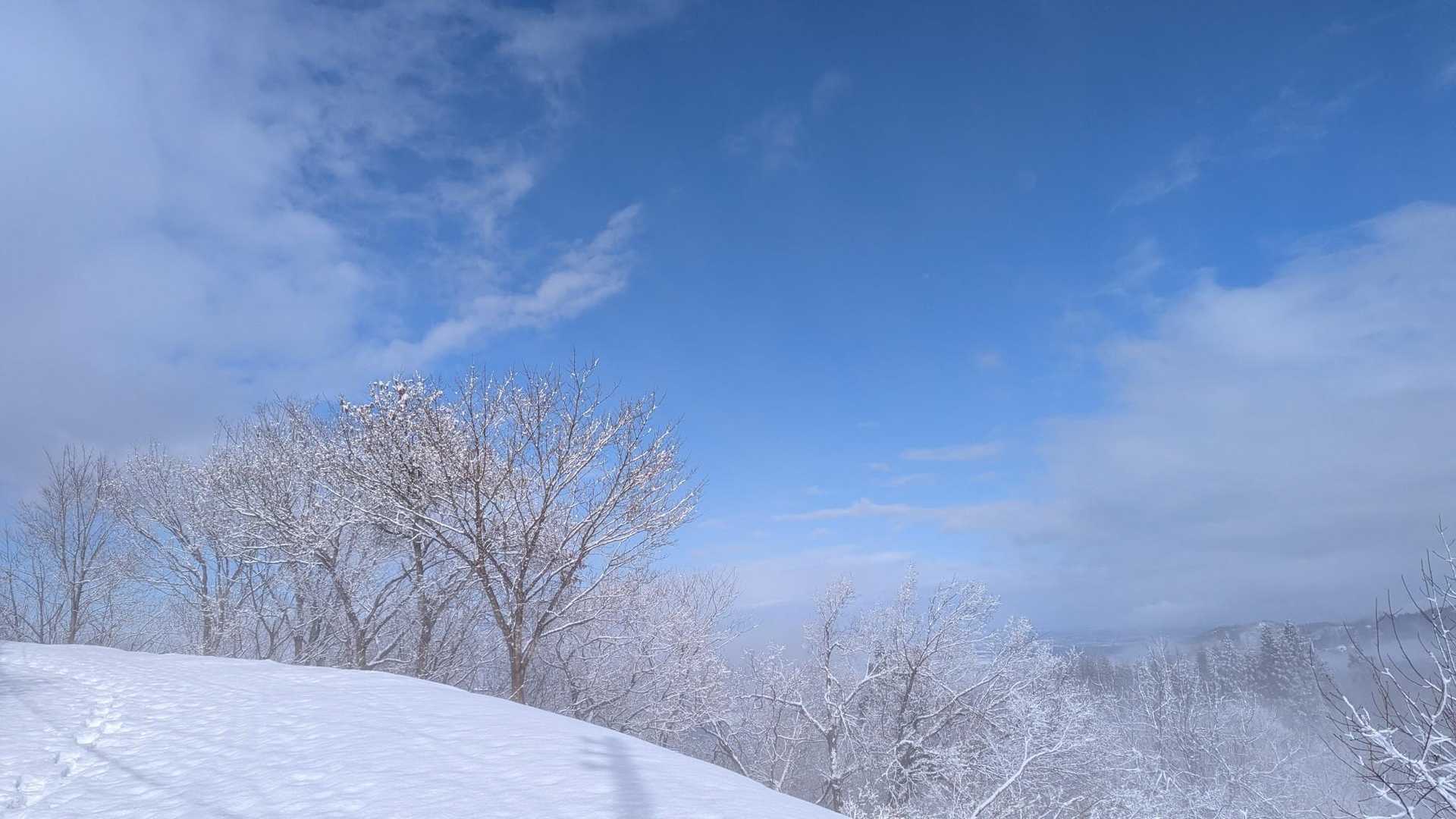 晴れた🌞