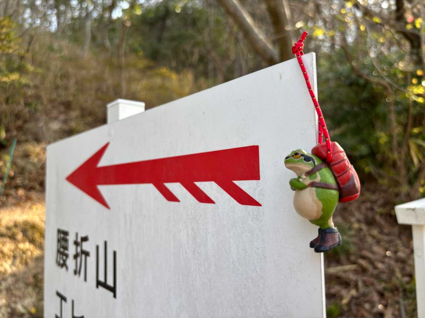 腰折山エヒメアヤメ登山道入口-腰折山 往復コースの写真