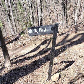 天狗山への下山の岐路
地図上に、わかりづらいとのコメントありましたが、この小さな標識が新しく設置されたようです