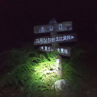 ７月以来。甘い桂の香りだけで帰ってきたなと感じます。
この先は、水量多い滝ミスト、風、小雨、霧で涼し～💧