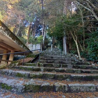 下から登ると808段あります😱