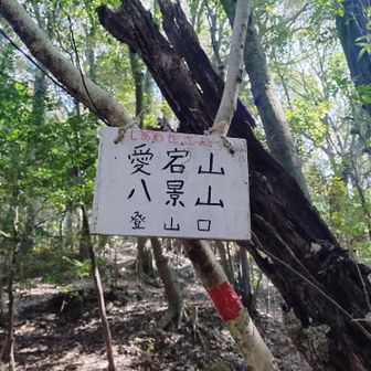 道路と二手に分かれる分岐にあります
危うく歩きやすい道路へ行きそうでした