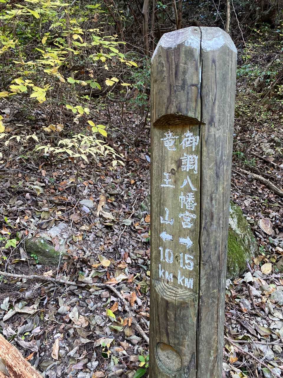ずいぶん歩いたつもりだったのにまだこんなにある😓
