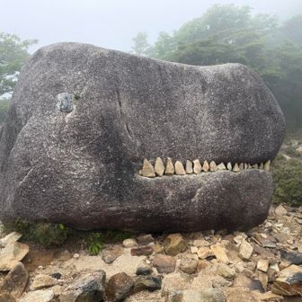 歯並び良く
並びかえてしまった
良いのかな？
