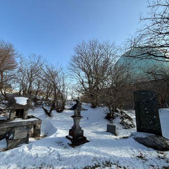 仕方なく昼メシ抜きで大滝根山へ🚙
スタートが13:20と遅め。少しでも楽しようと思って1番山頂に近そうな場所からスタートしたけど、これが失敗だった。「仙台平」というピークがあったのに気が付かなくて、結果踏みそびれた😩

黙々と歩いて山頂にワープ
神社⛩️とメロン🍈