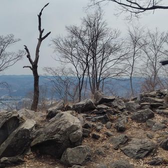 駐車場は県外ナンバーも多く満車🈵なのに、山頂は貸切状態😊