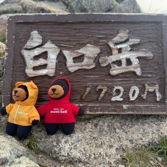 初めましてのお山で嬉しい…んだけど
私もうお腹ペッコリです🫣

ってことで
予定より早く朝ごはん🍚済ませて
次へGo‼︎