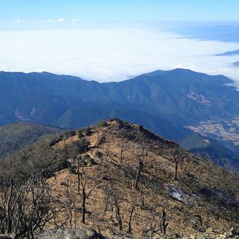 頂上から眺める雲海は迫力があります🥳