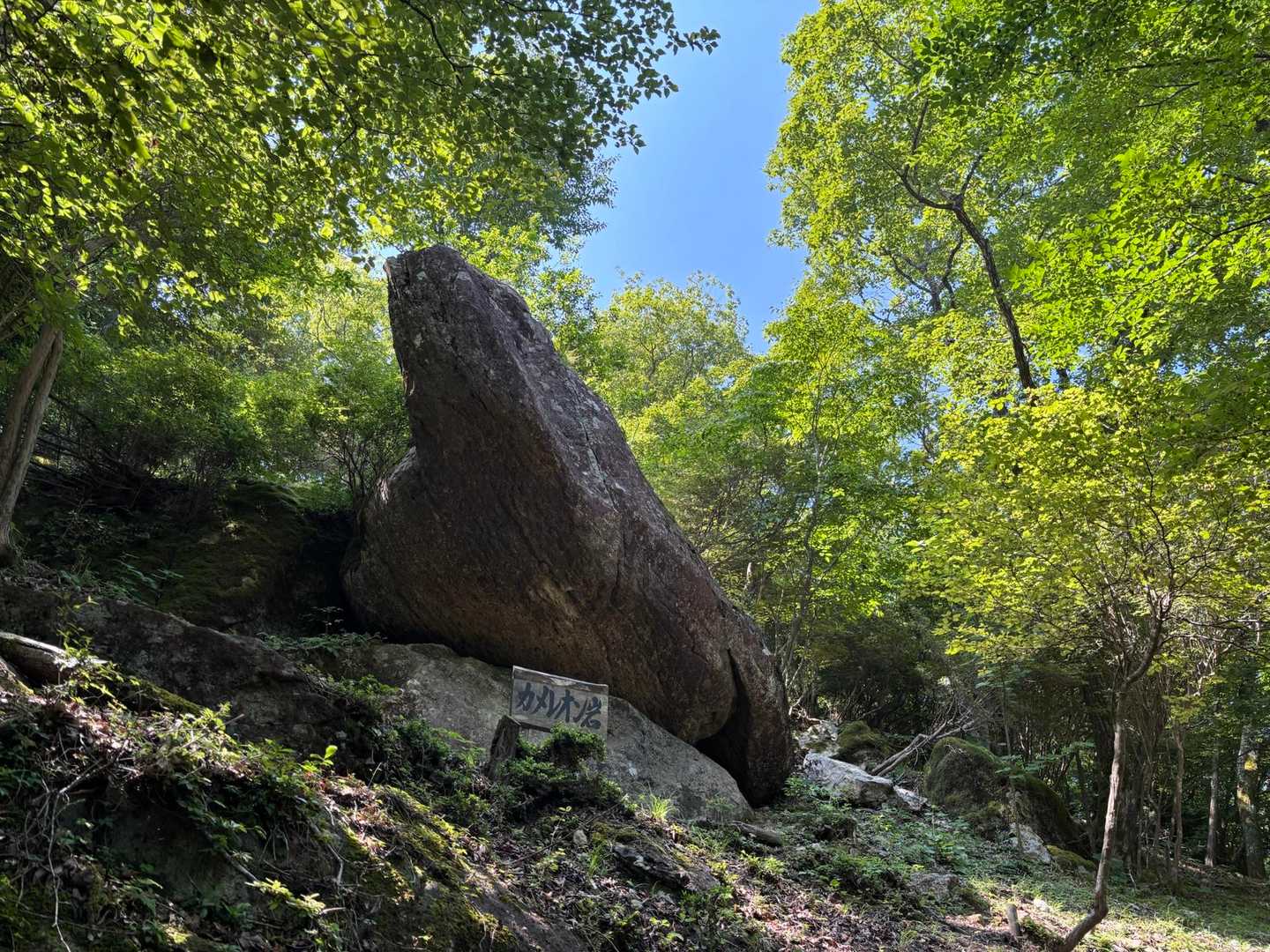 上の山-大野山 周回コースの写真