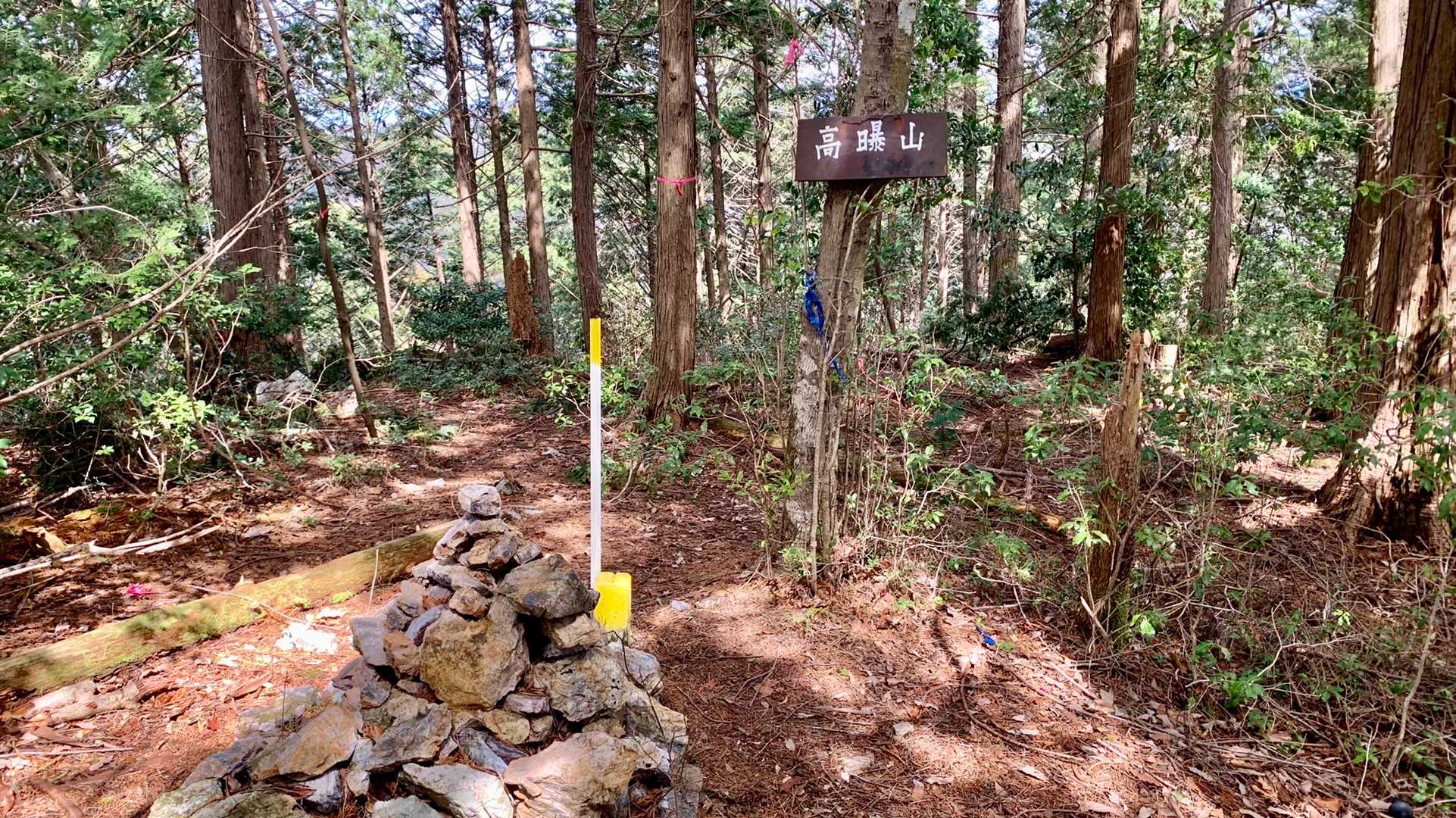 高曝山とうちゃこ〜〜〜🙋‍♀️🎶

頂上ナッシング🙅‍♀️

いい天気です‼️
チョット休憩してピストンで戻ります😄