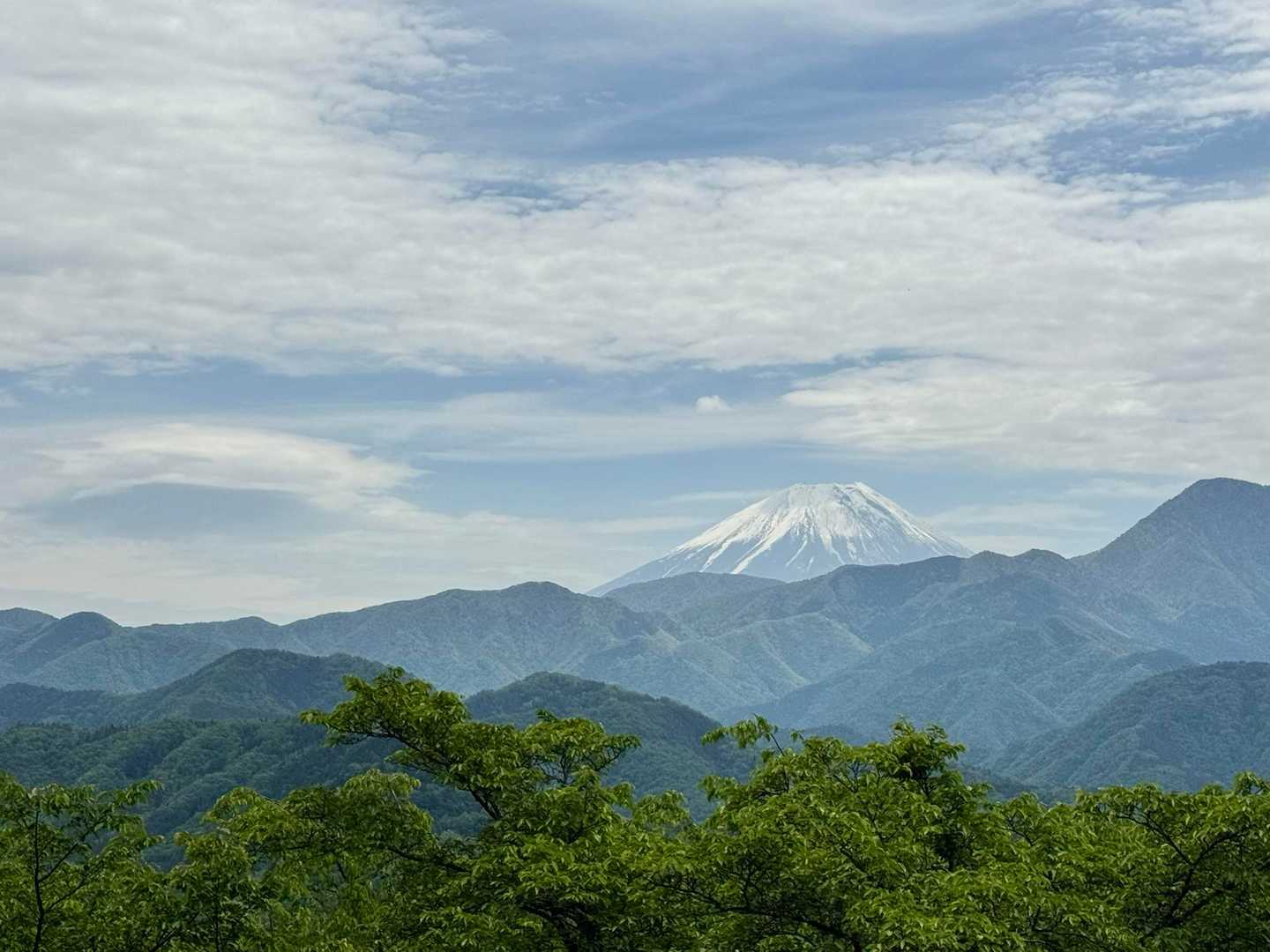 日向山 往復コースの写真