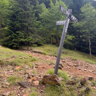 ここまで来たら平和な道