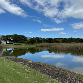 武蔵野の森公園 修景池