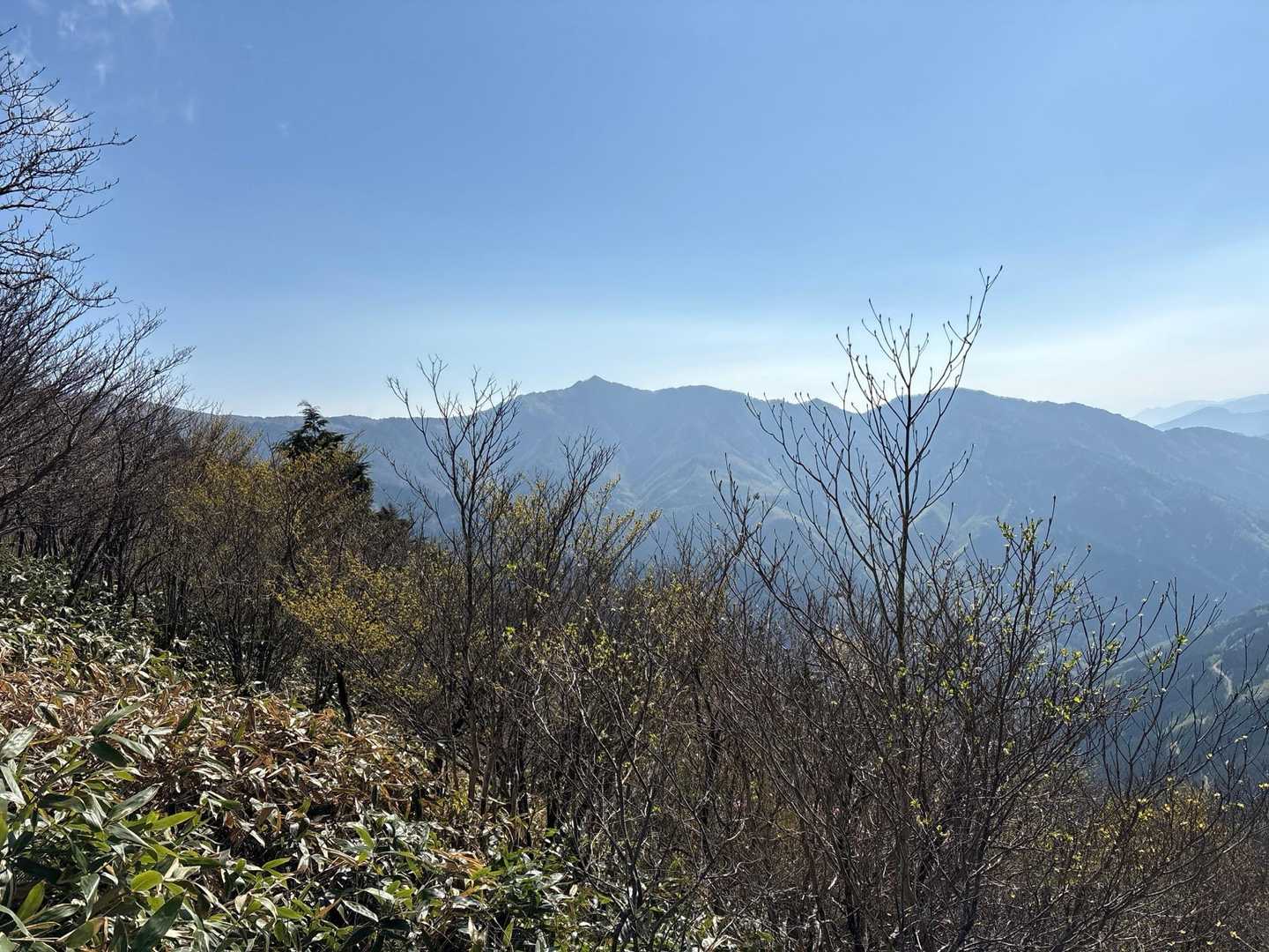 いきなりの急登に足も身体もびっくり‼️
でも、この眺望なのですよ✨
☀️バンザイ♬