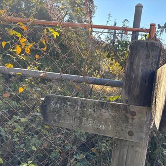 ダイトレ北入り口
山歩きのスタート…🚶‍♂️🚶‍♀️