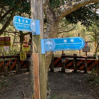 暗峠を見学するために、右折して降って行きます