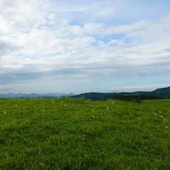 この辺りが山頂なんですが？