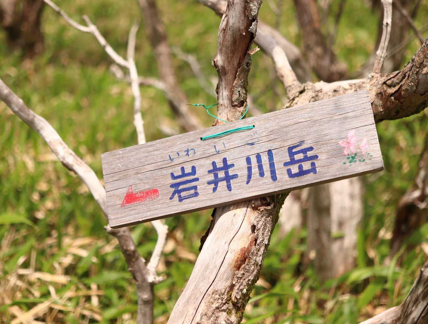 では下山👣