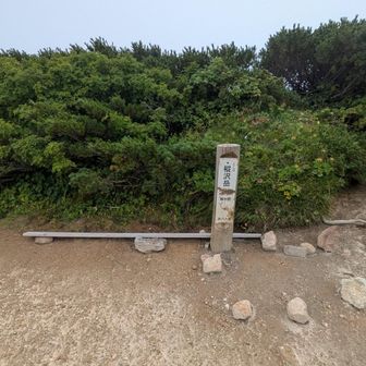 早く着いたので樅沢岳に登ったが周囲は真っ白