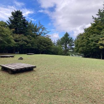 三笠山山頂　特になし💦
この先も道は続いていました