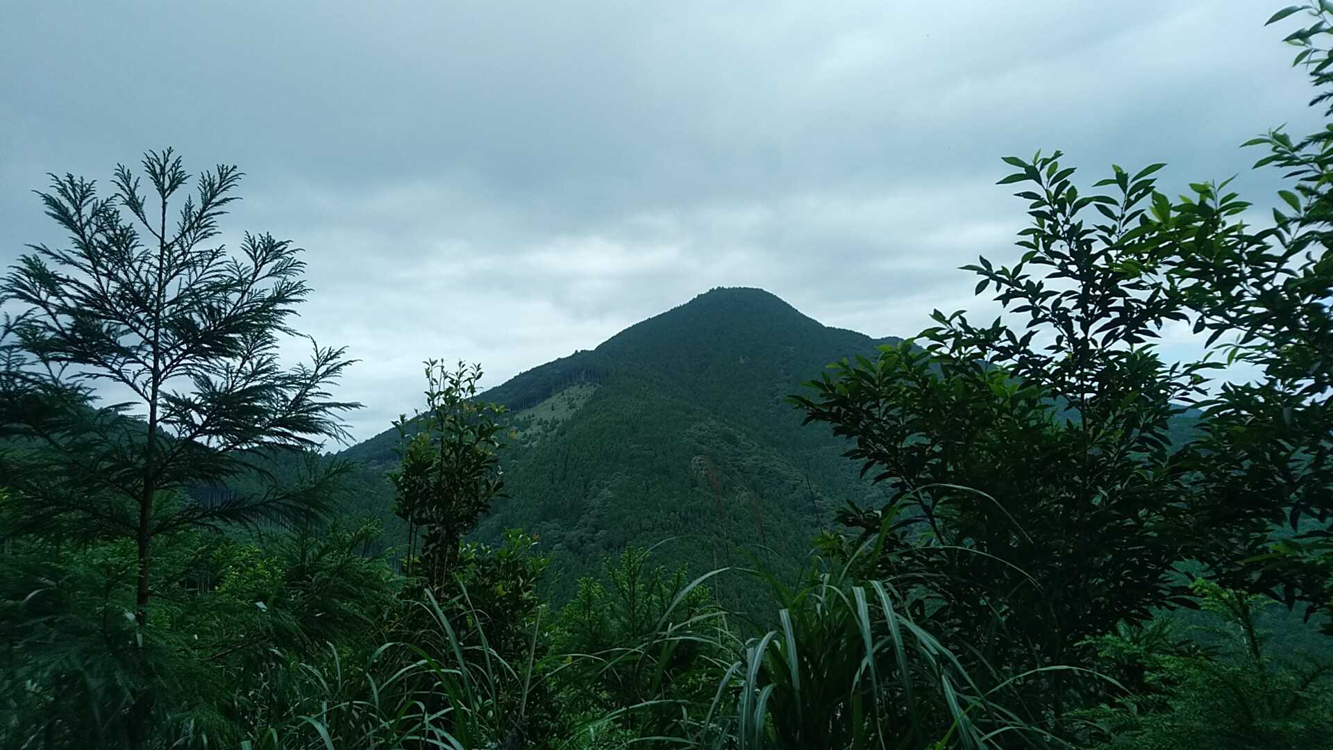 八高山（福用駅）の写真