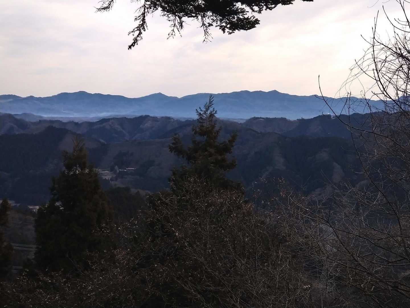 展望は…こんな感じ…。