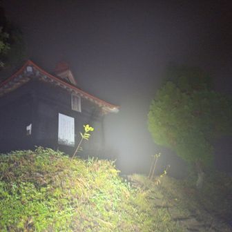山頂へ❗
